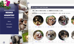 ホームページ作成例（子犬チワワ）